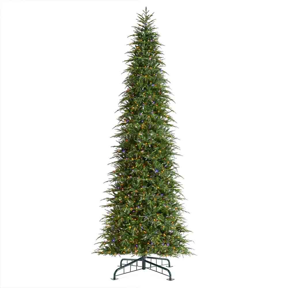 15' Radiant Evergreen Fir