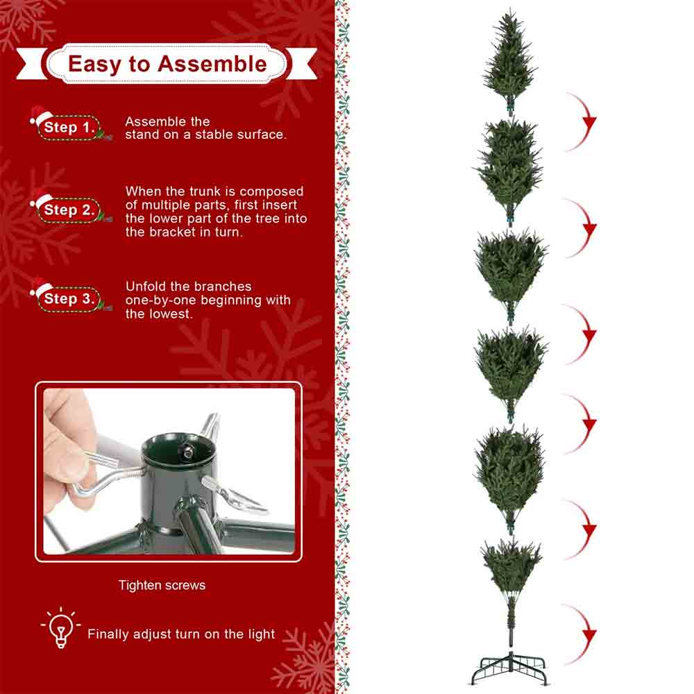 15' Radiant Evergreen Fir - Image 2