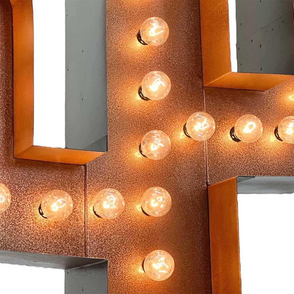 Marquee Cactus - Image 4