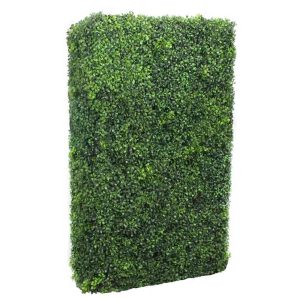 Ficus Hedge Wall