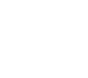 ows-octoskin-wall-system-logo_white ows-octoskin-wall-system-logo_white